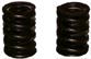 Valve Springs