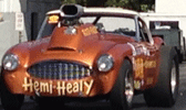Hemi Healy